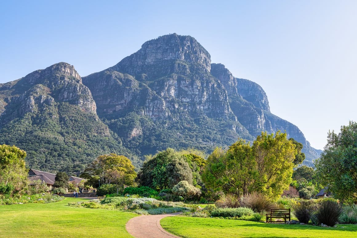What Tourist Services Have Reopened in South Africa?