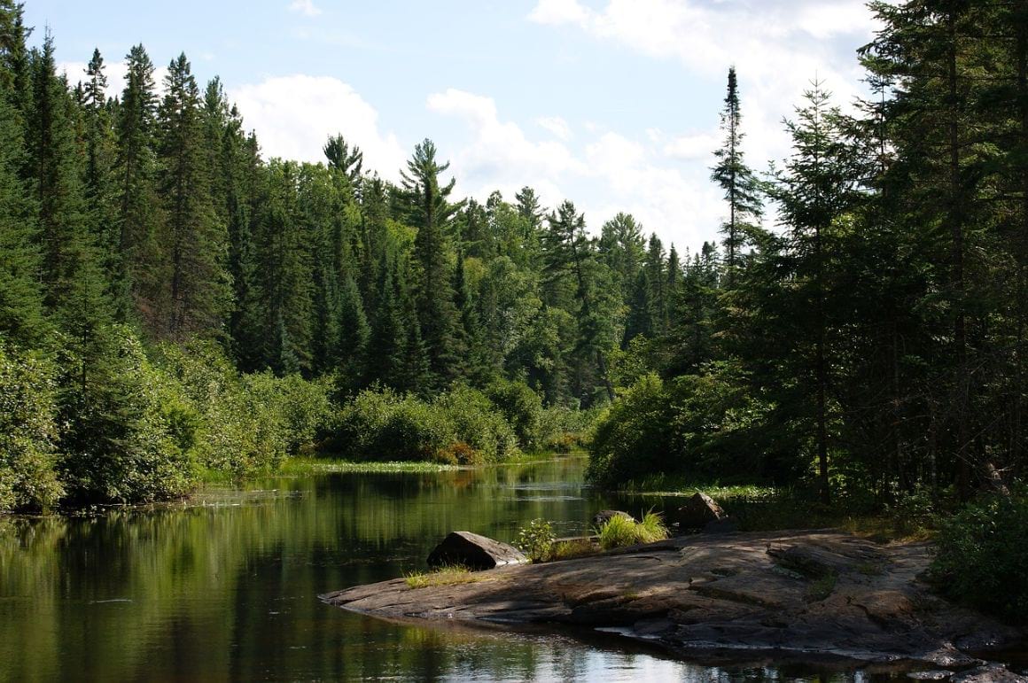 algonquin provincial park ontario