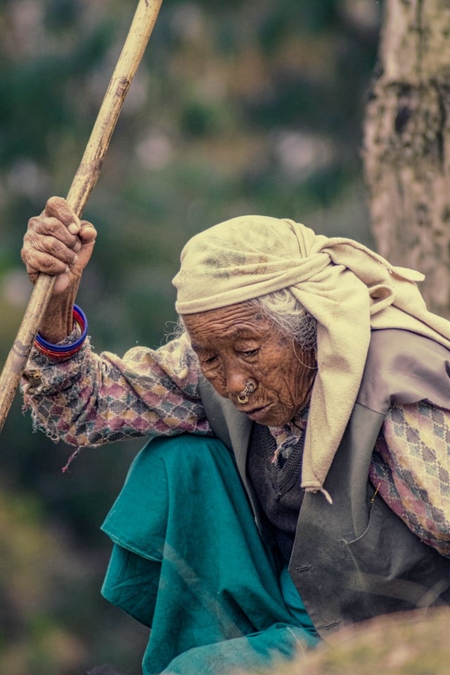 Old Nepali woman in rural Nepal tending to livestock