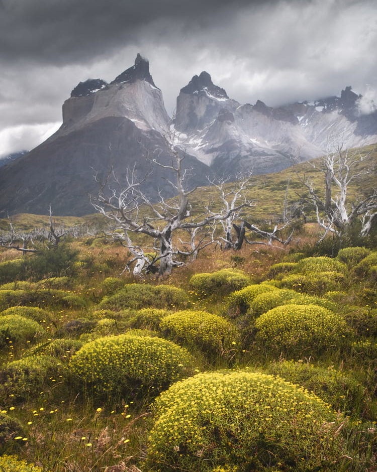 torres del paine best places to visit in chile