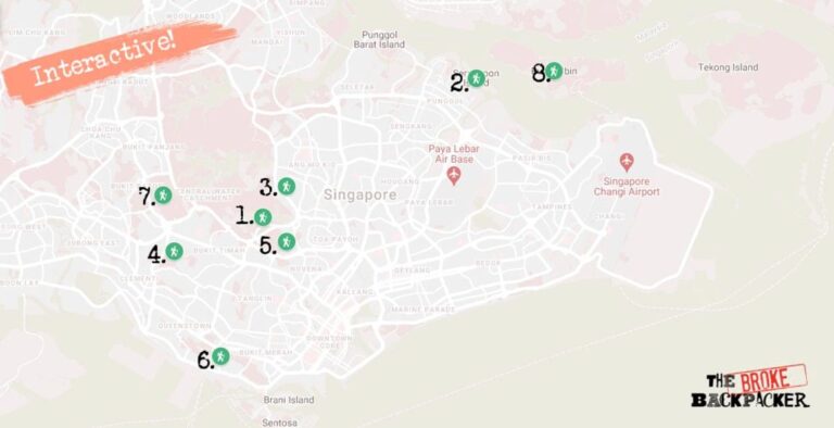 The Best Hiking Trails in Singapore: Which Will You Choose?
