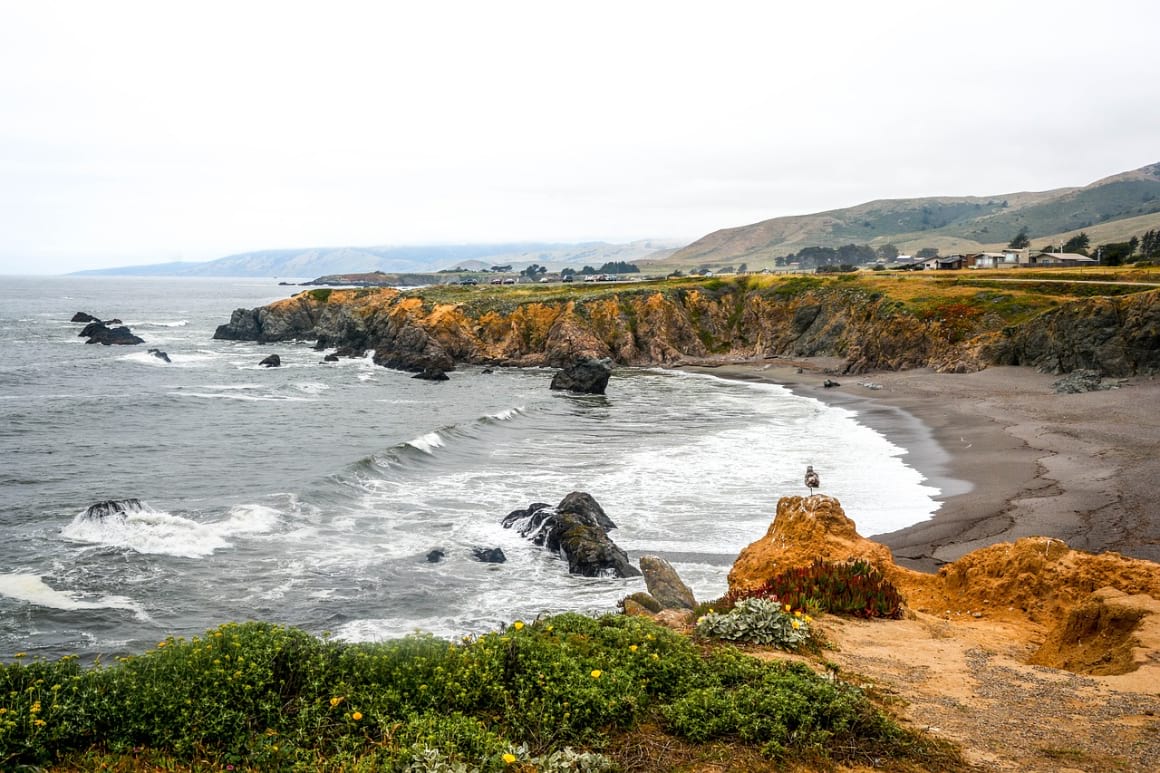 Bodega bay beach, rocks coming out of the wild water Bodega Bay Town