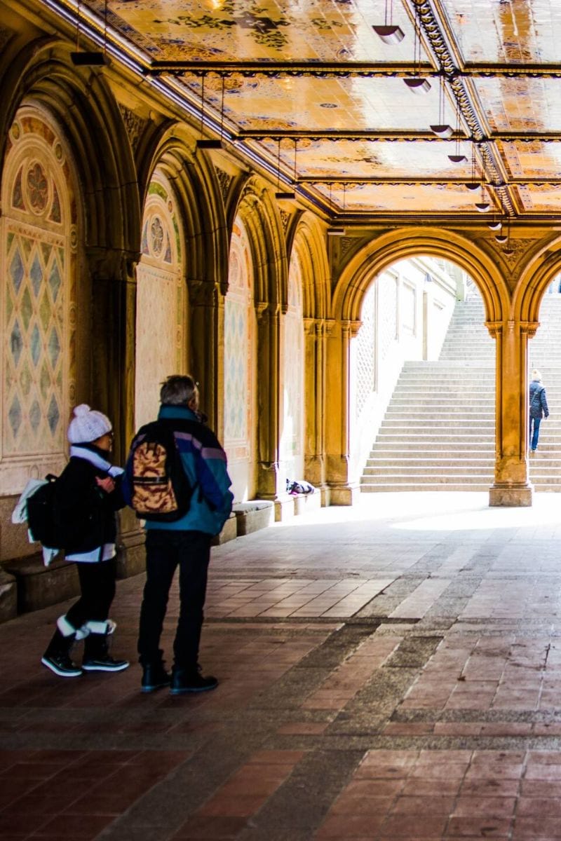 Central Park & Fifth Avenue Walking Tour Manhattan