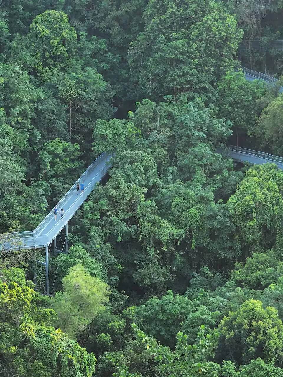 Henderson Waves to Faber Point Hike