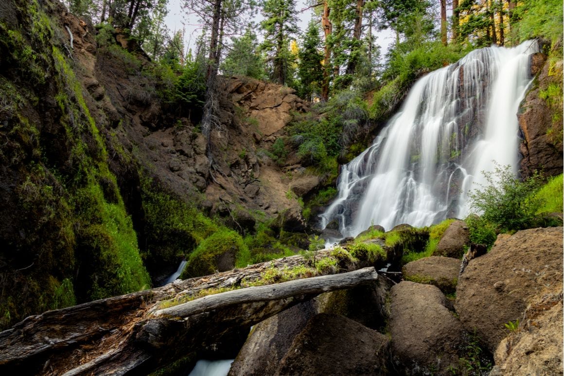 Mill Creek Horse Trail Redwoods