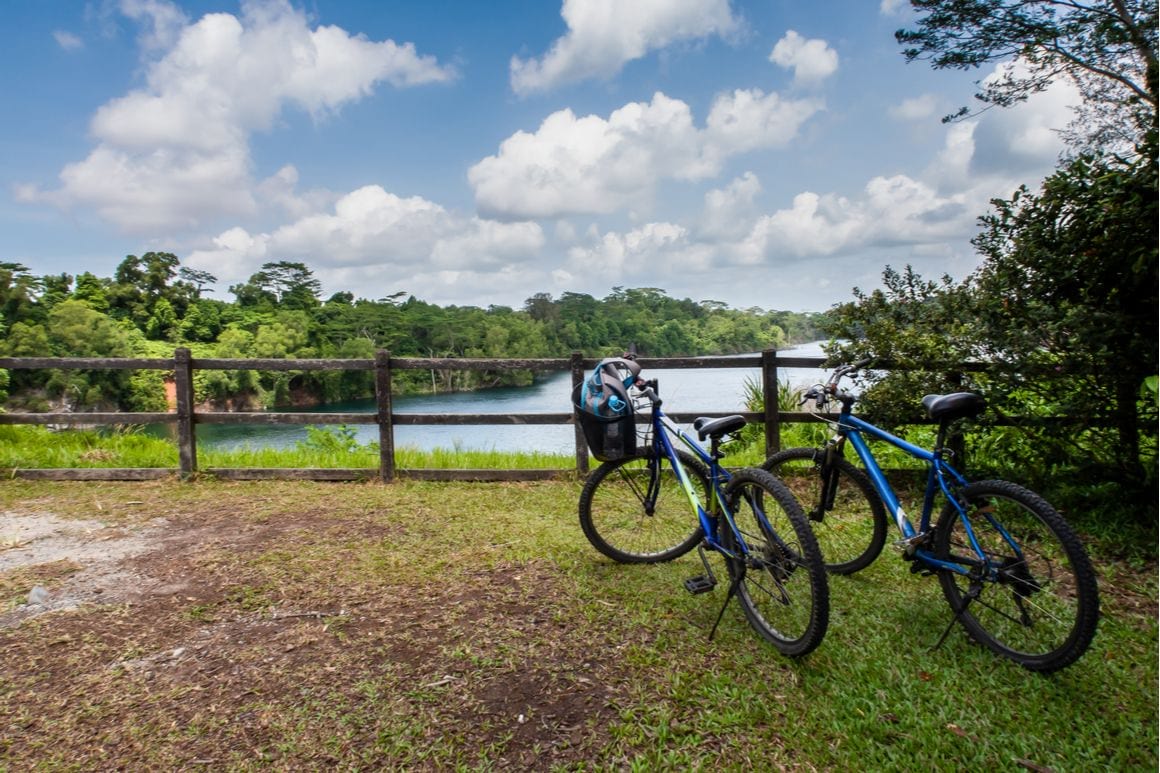 Pulau Ubin Tree Trail Singapore