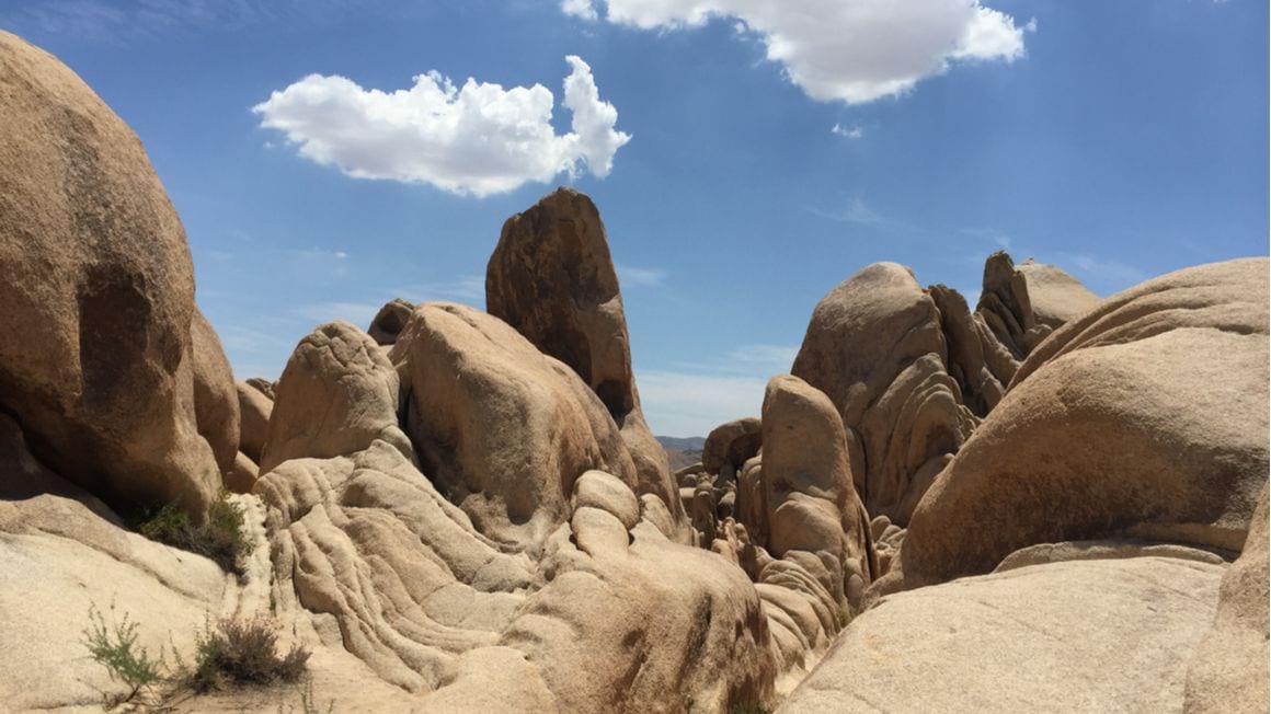 Queen Mountain Joshua Tree