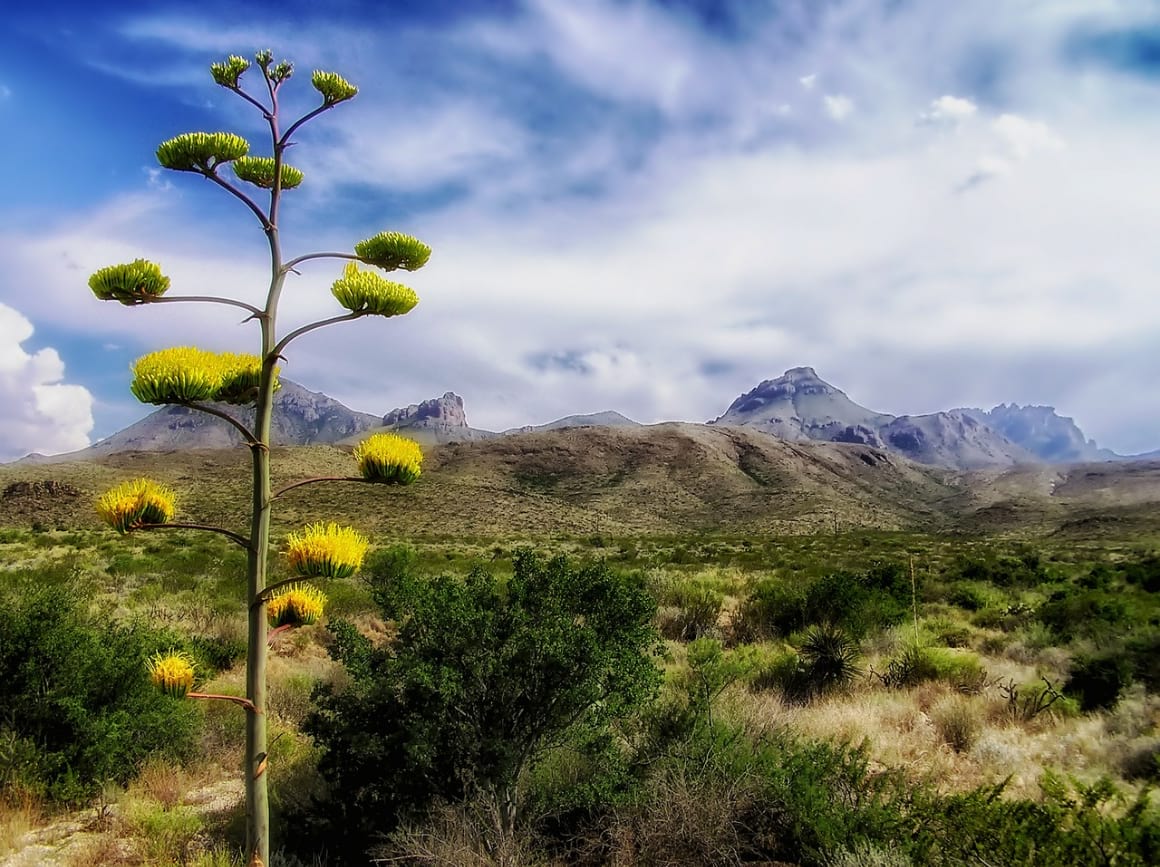Big Bend National Park, San Antonio