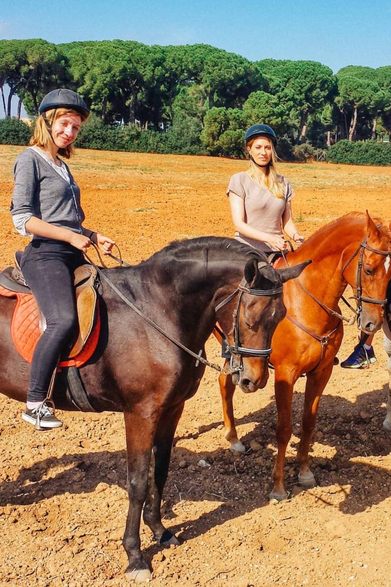 Day Trip Riding Spanish Horses, Sevilla