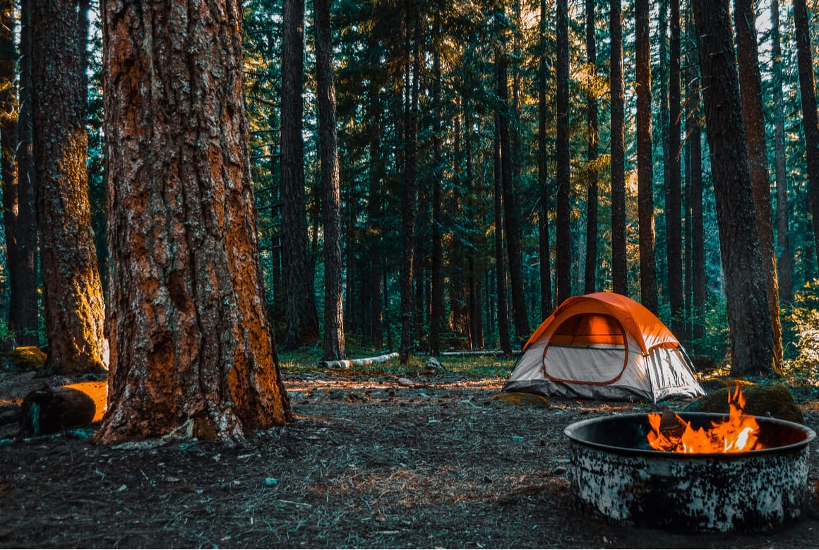 Why camp in Shenandoah