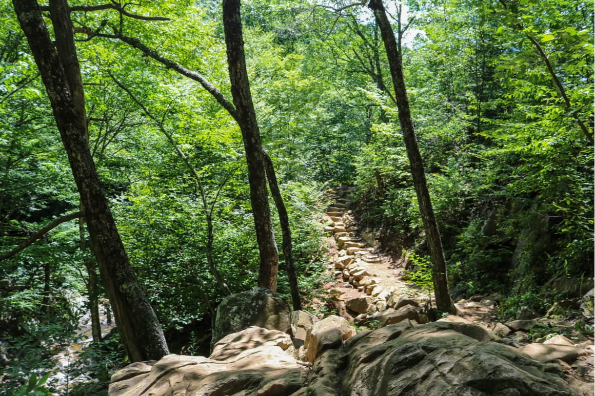 Rose River Trail, Shenandoah