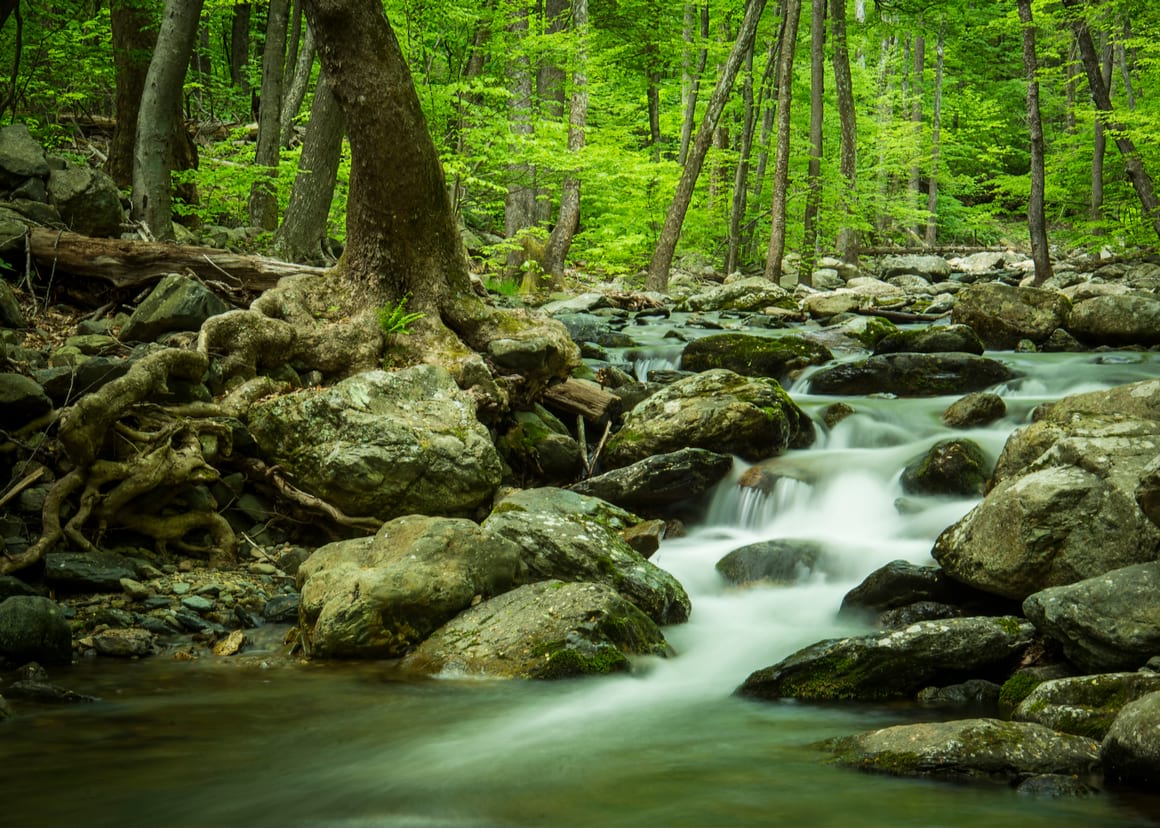 White Oak Canyon Trail, Shenandoah