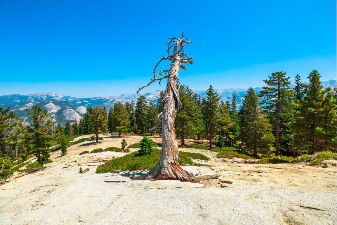 Sentinel Dome Trail, Yosemite