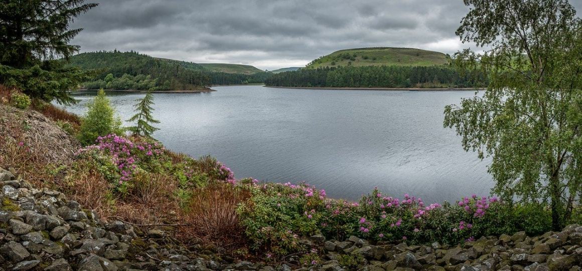 The Wild Edges Walk Peak District