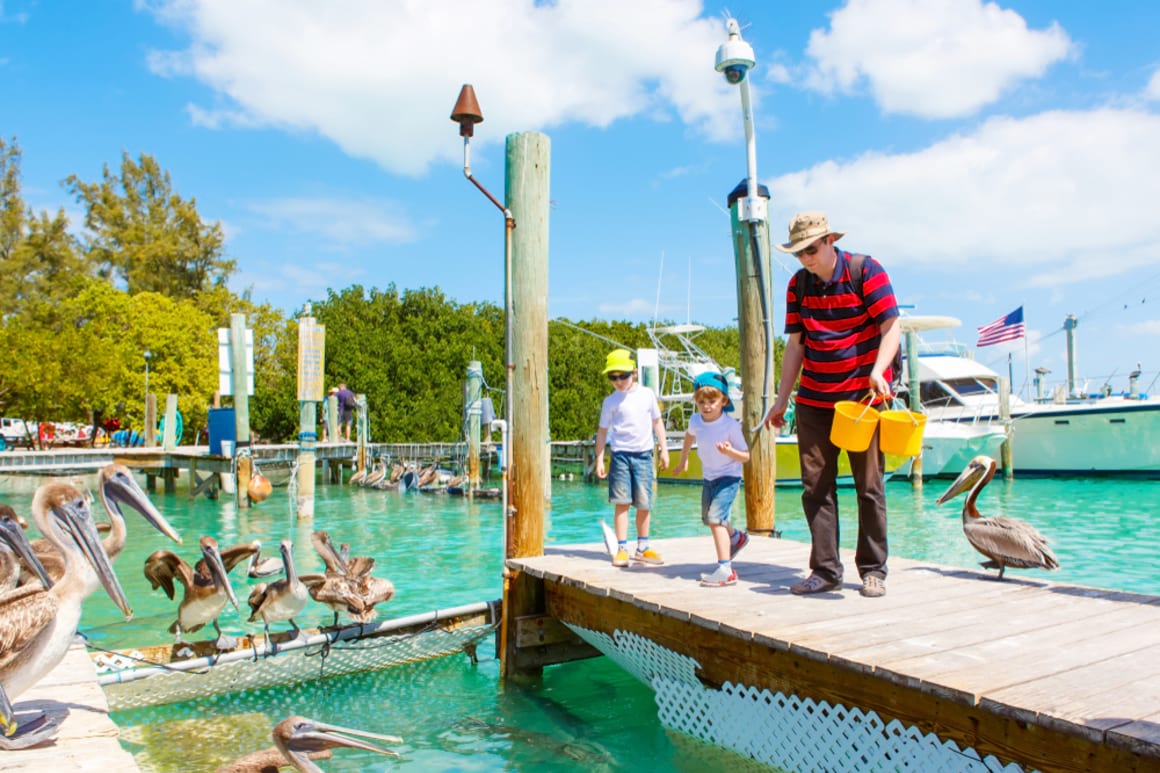 Things to See and Do in Plantation Key