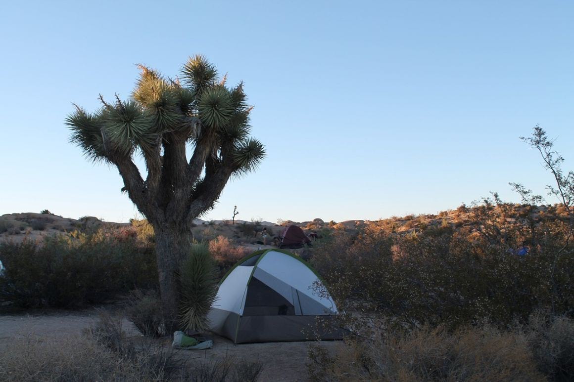 Where to Stay in Joshua Tree National Park