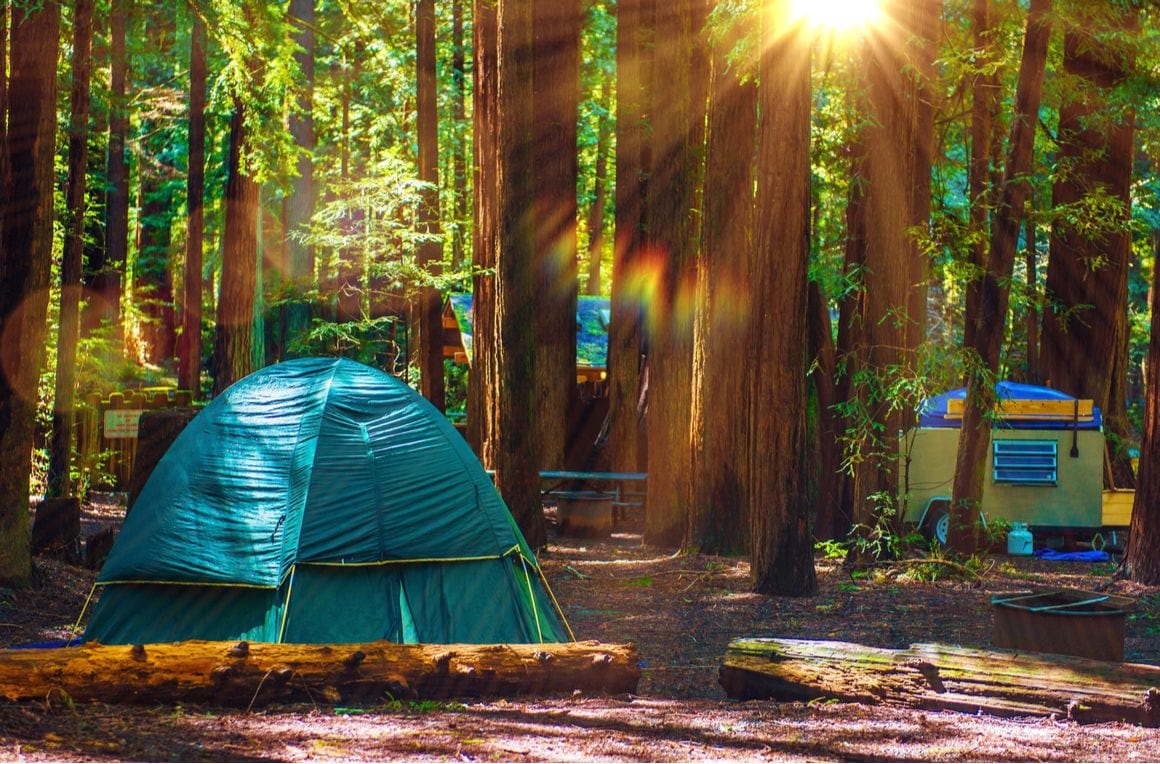 Where to Stay in Redwood National and State Parks