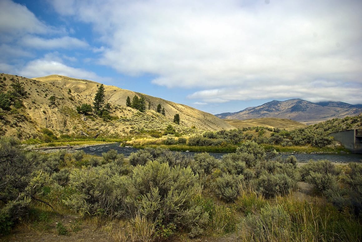 Osprey Falls Trail, Yellowstone