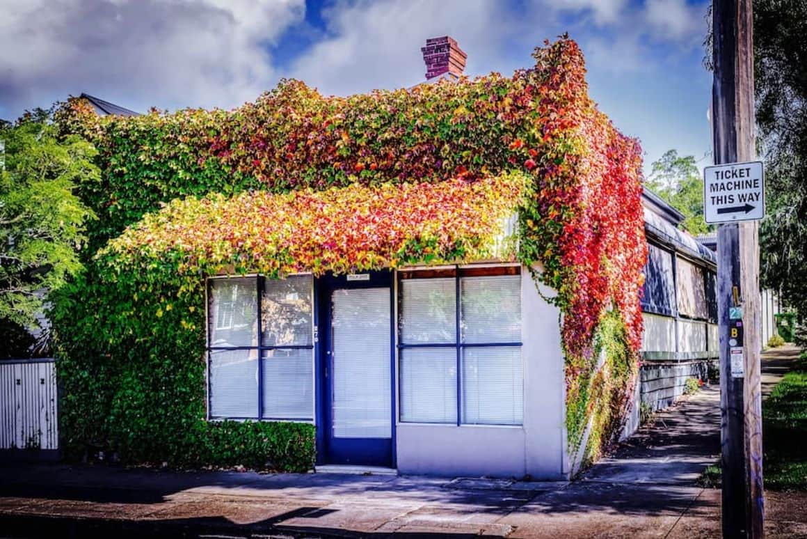 Milkbar Apartment, Melbourne