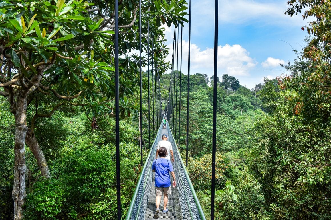 best hikes singapore