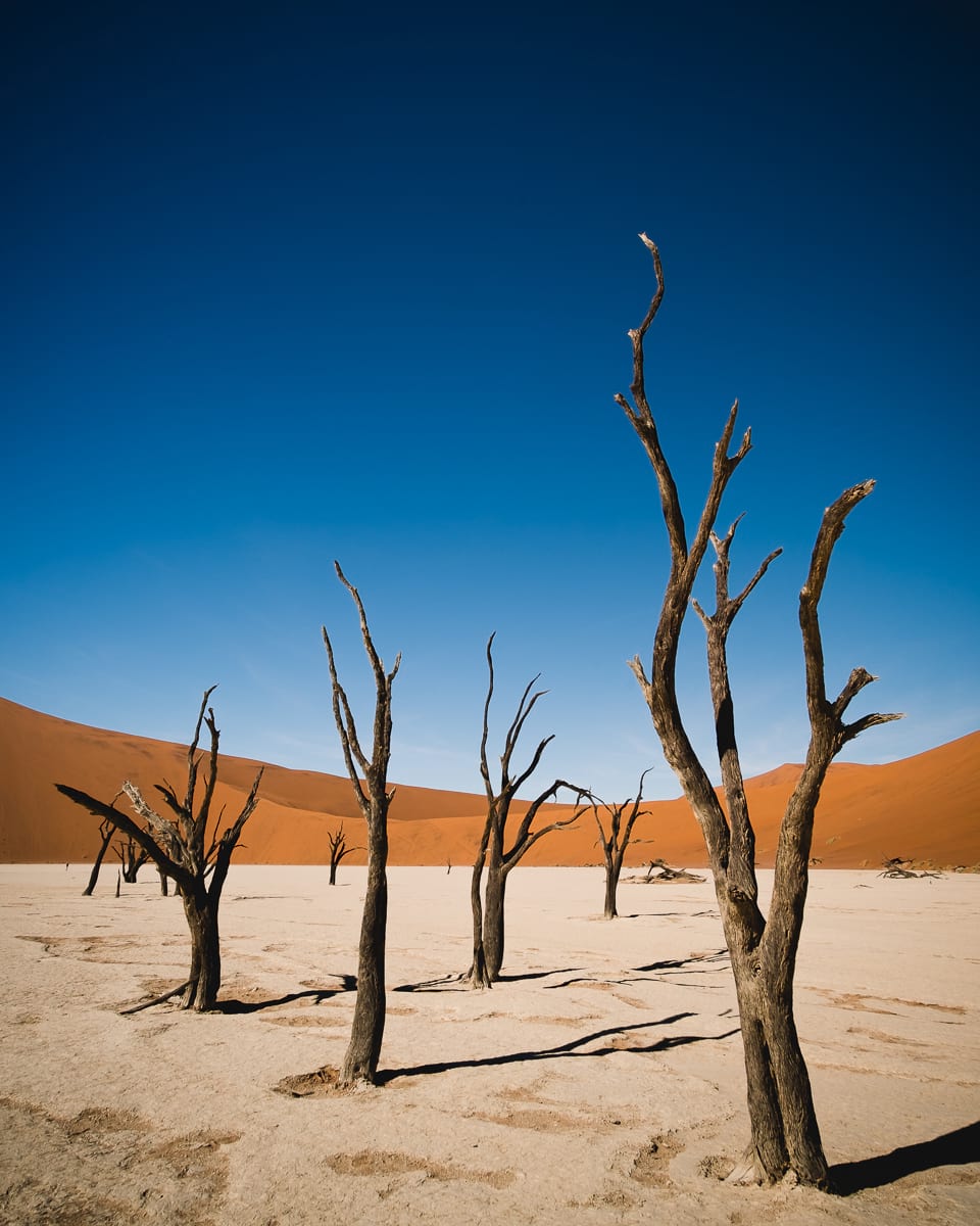 deadvlei in namib desert 