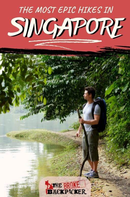 The Best Hiking Trails in Singapore Which Will You Choose in 2024?