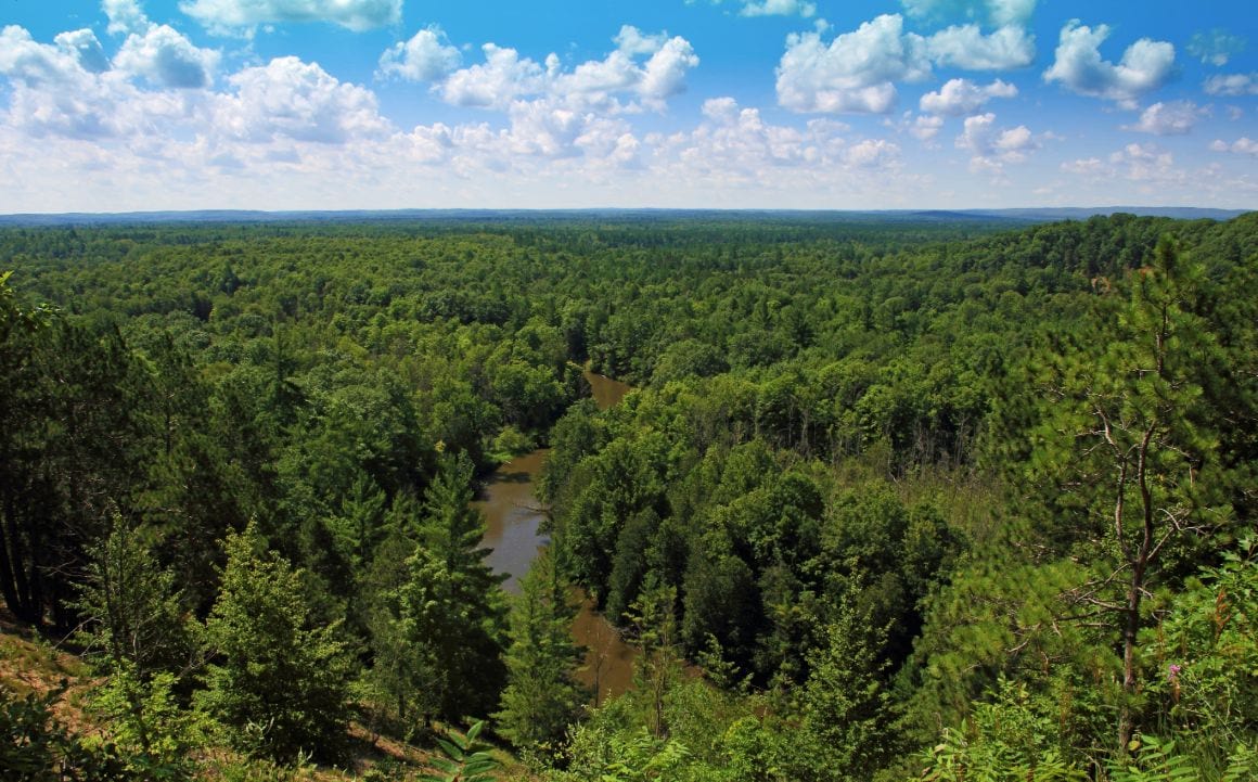 Huron-Manistee National Forest