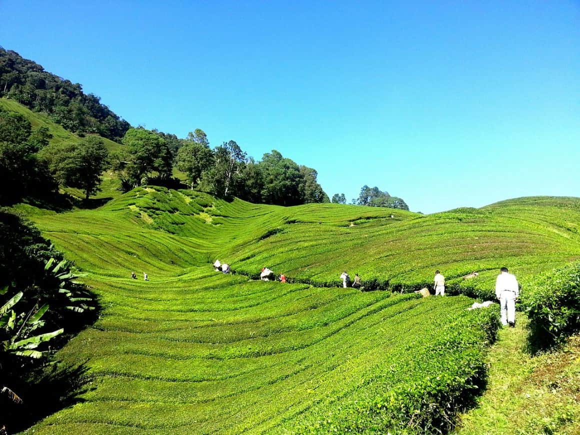 Gunung Bermbun, Malaysia