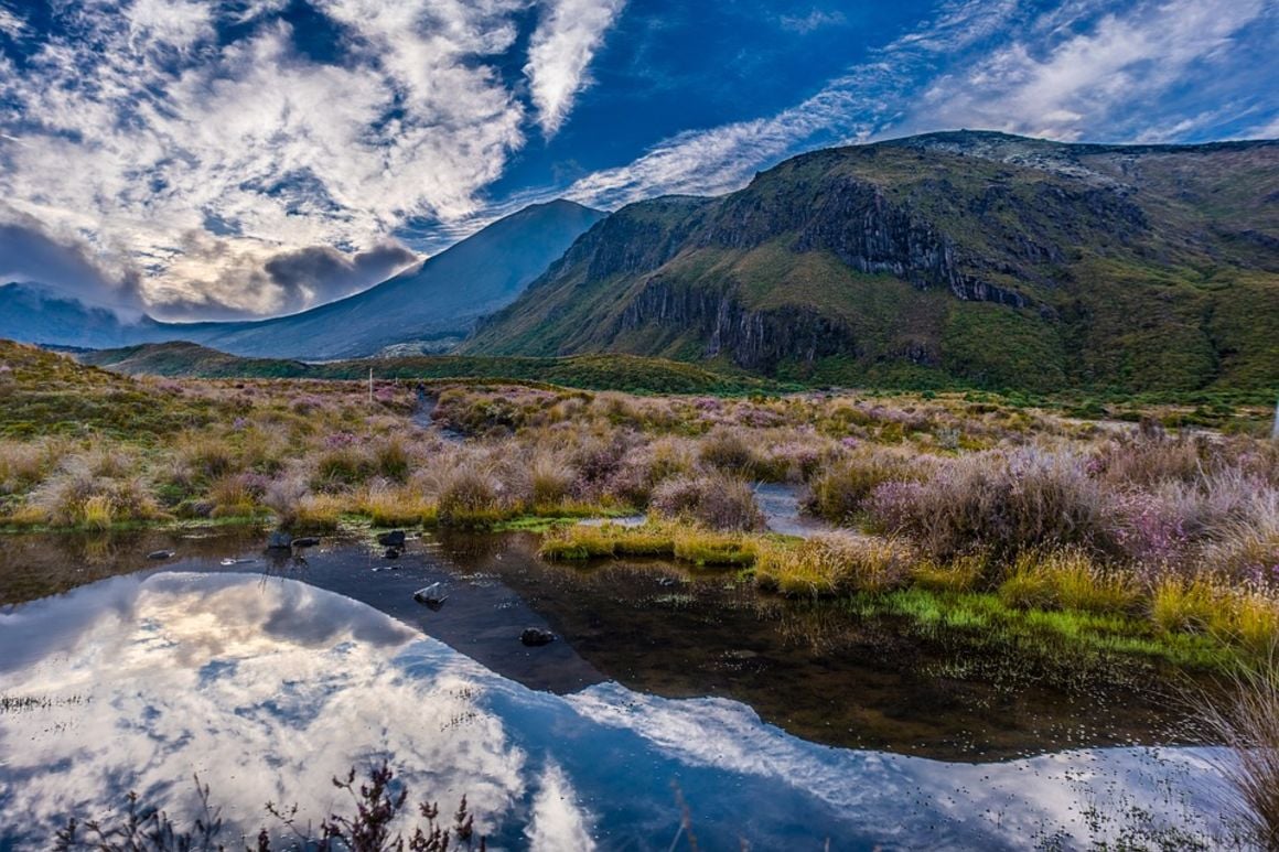 Tongario Alpine Crossing, New Zealand