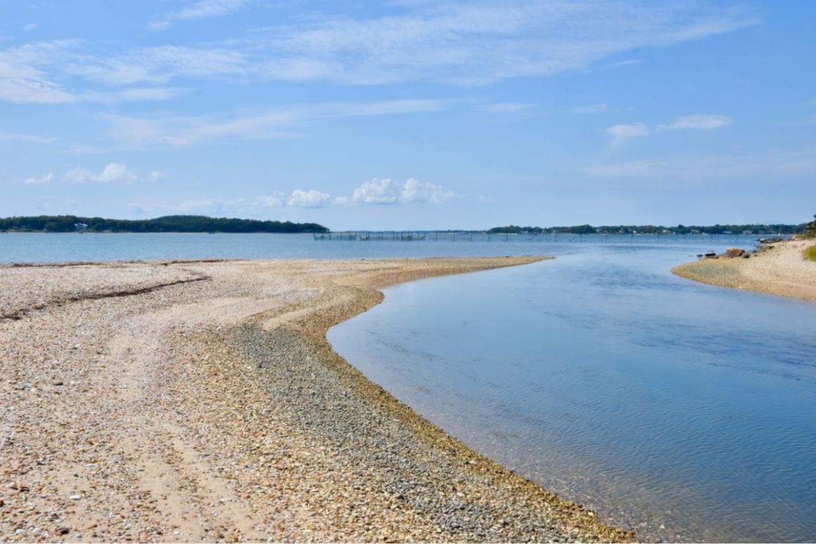 Joan C. Coles Loop - The Best Day Hike in Long Island