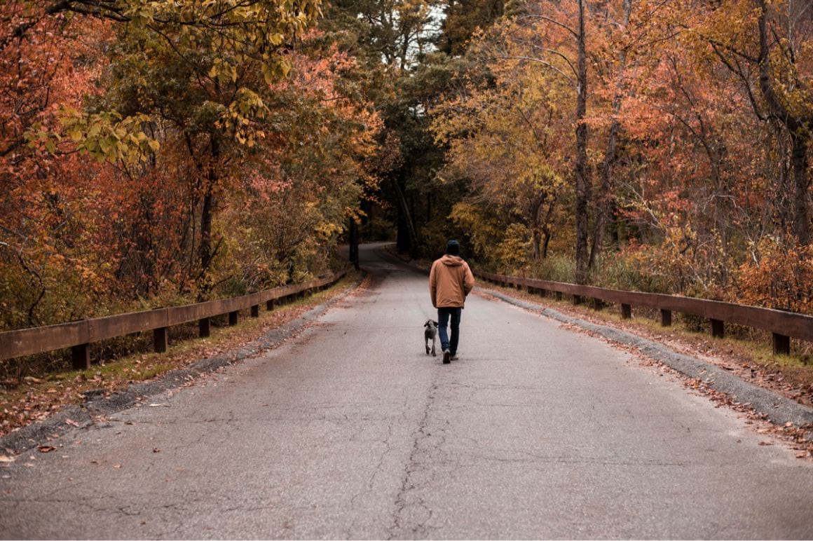 Long Island Trail Safety