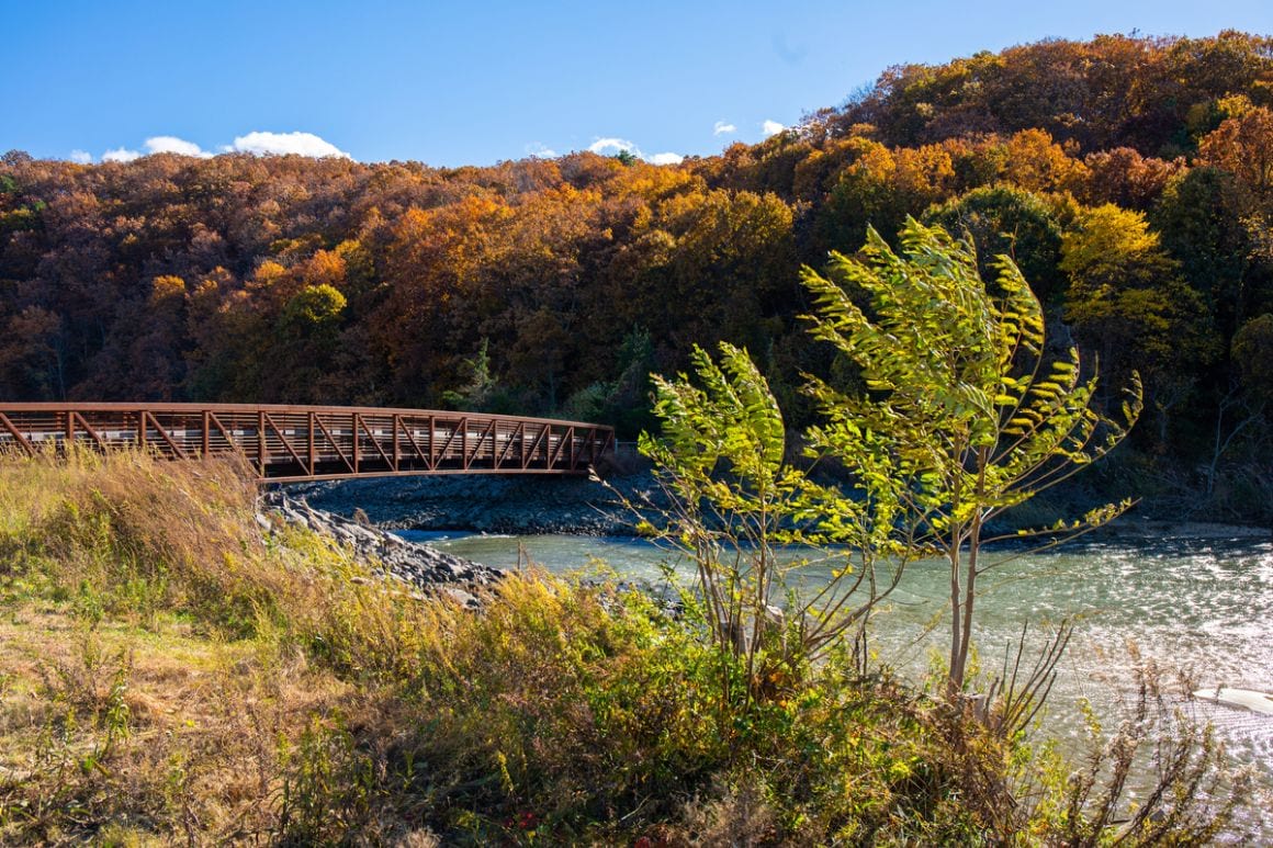 Sunken Meadow Trail - Most Beautiful Hike in Long Island