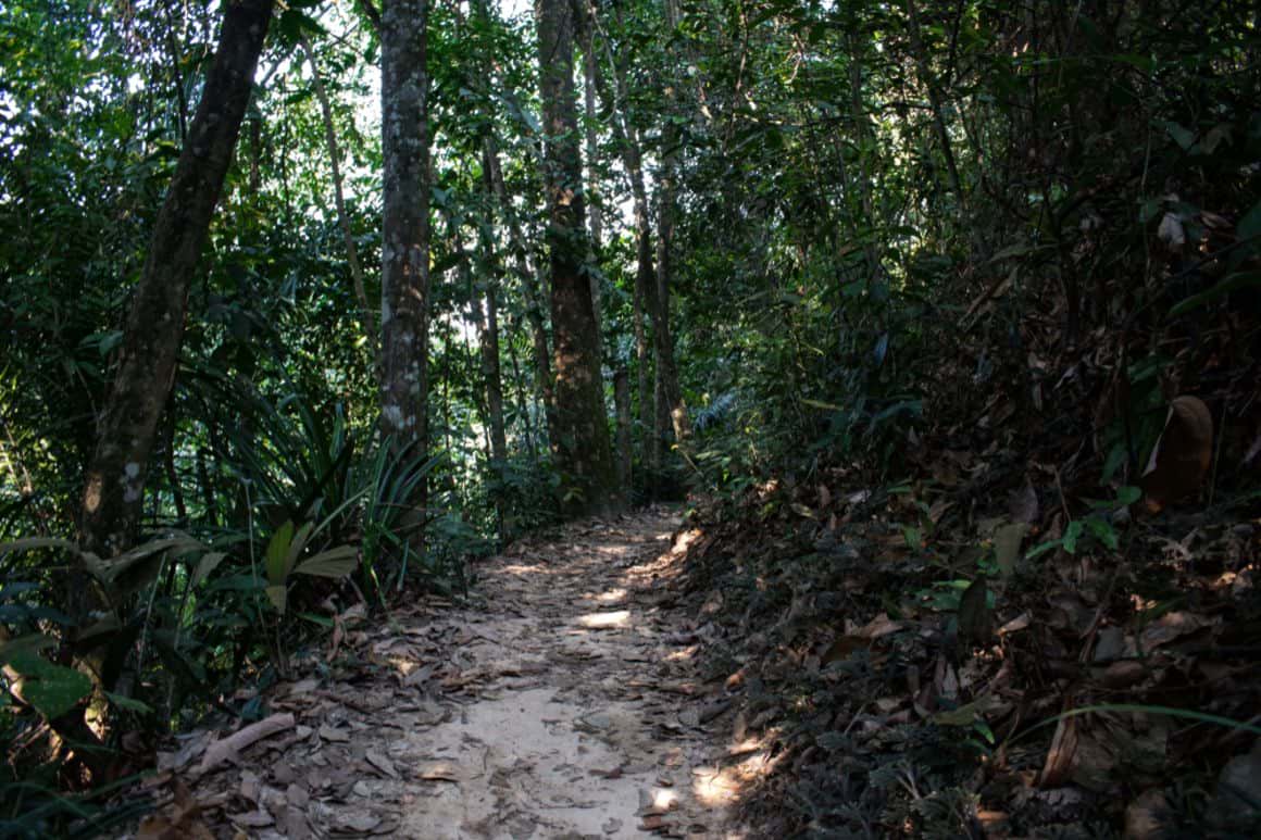 Gasing Hill Hike, Malaysia