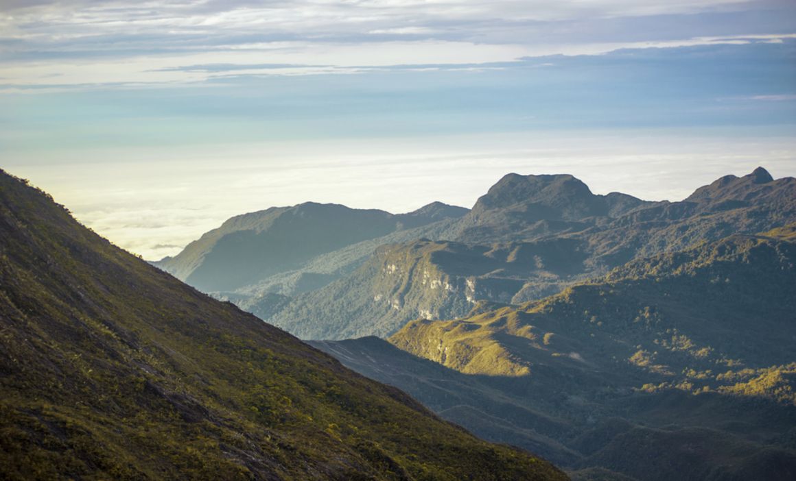 Gunung Tahan Climb, Malaysia