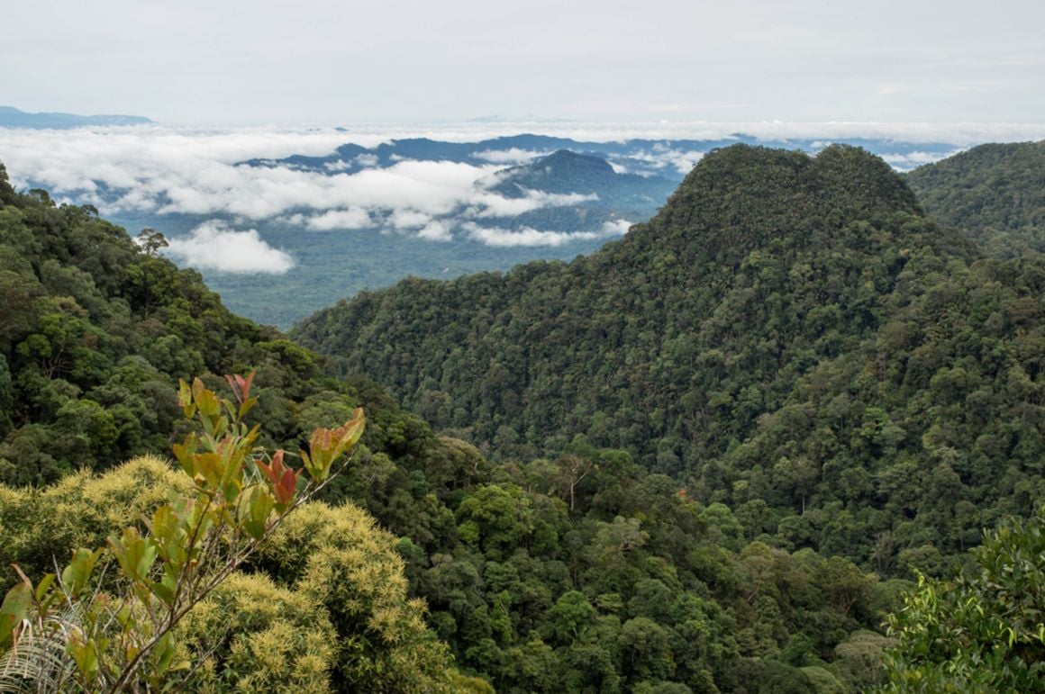 Mount Serapi Hike, Malaysia