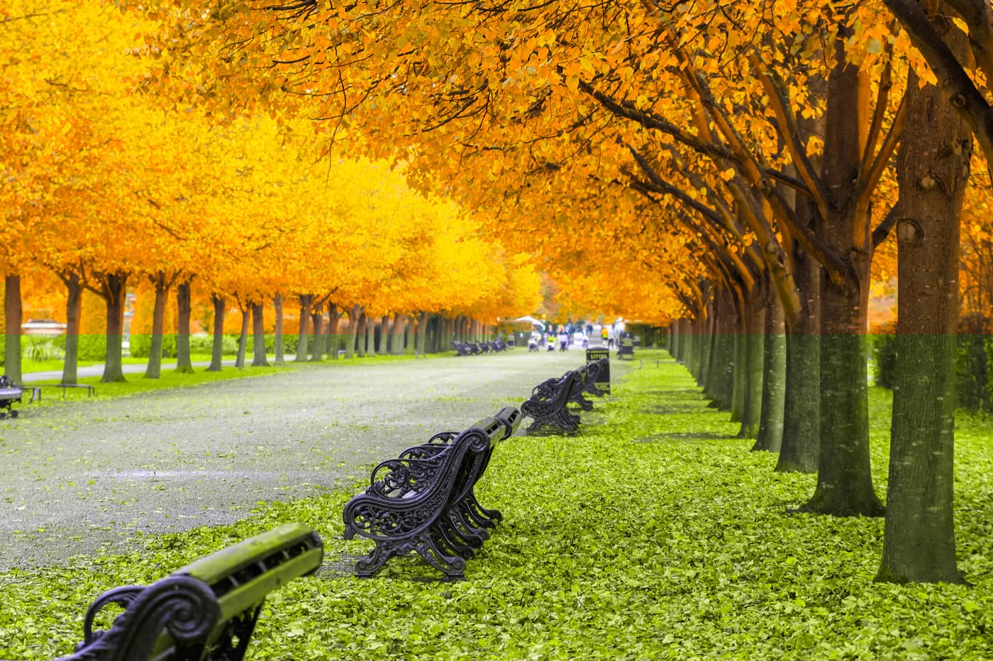 regents park london