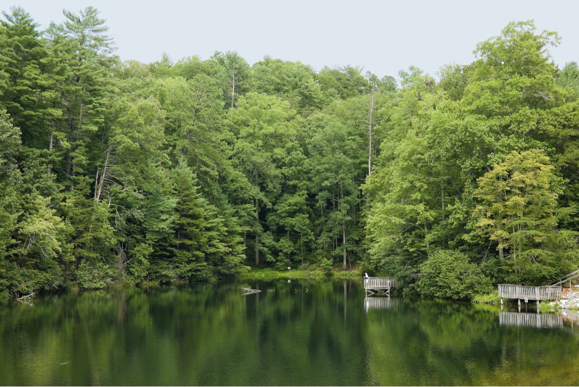 Blue Ridge Lake fishing