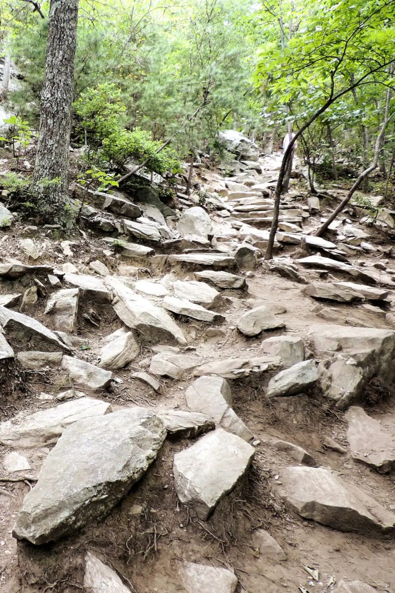 Guided Hike in Hanging Rock State Park, Charlotte