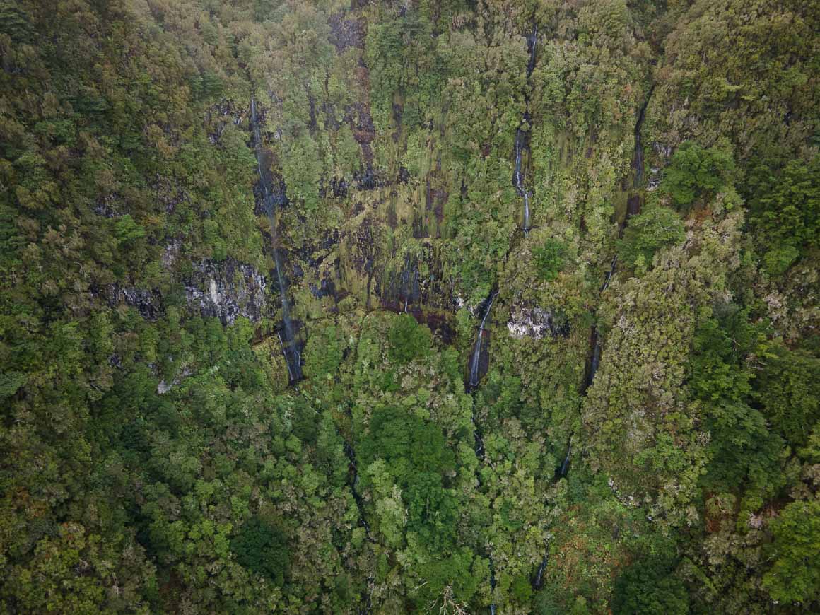 hikes in madeira