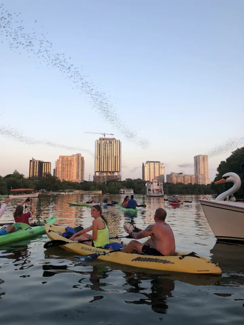 Downtown Sunset Kayak with 1.5m bats