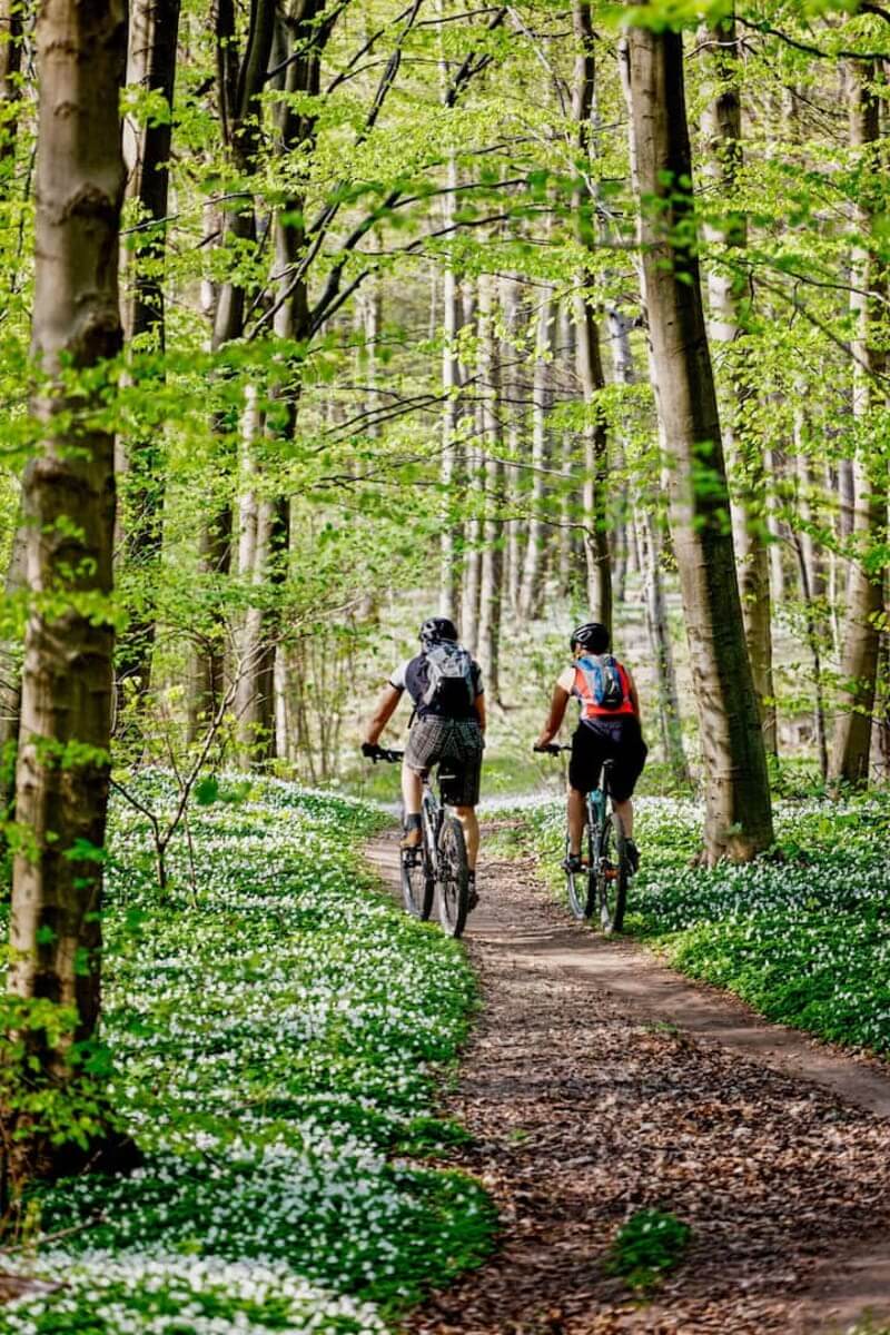 Greenbelt Mountain Bike Adventure