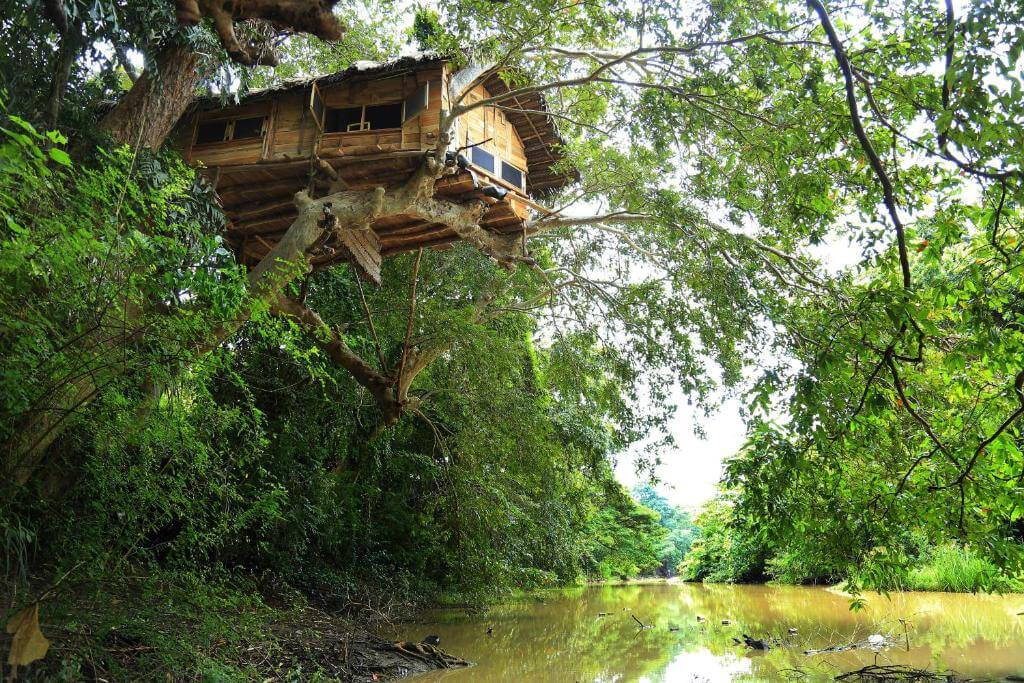 Kumbuk Tree House Yala Safari Place sri lanka