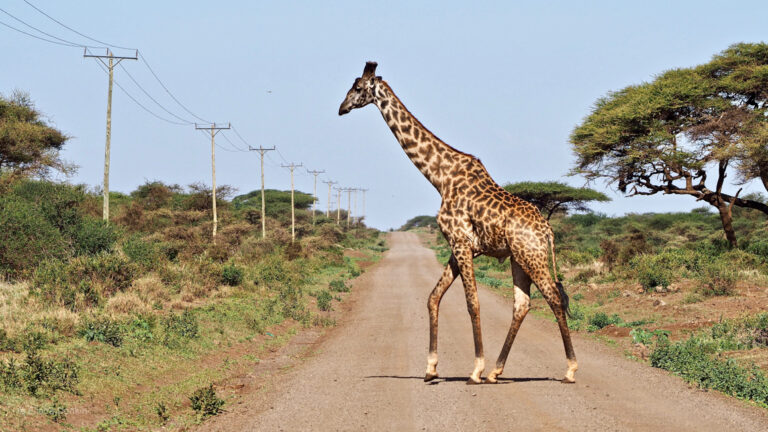 Backpacking Kenya Travel Guide