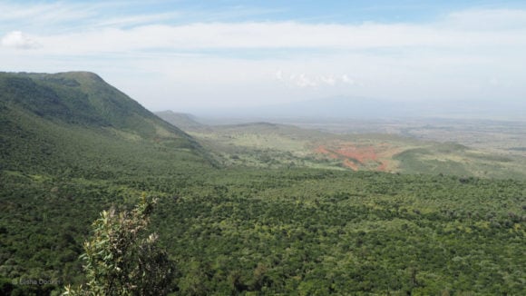 Great Rift Valley