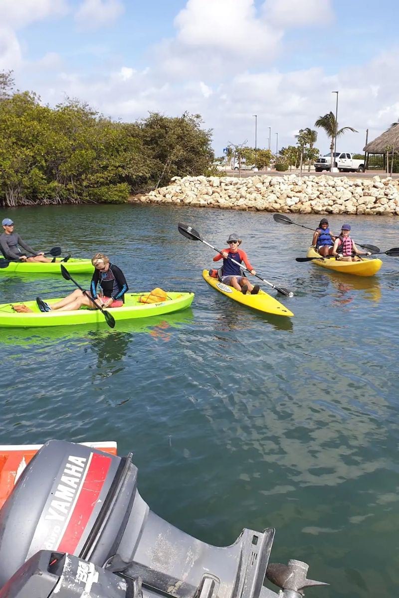 See the southeast of Aruba by kayak Aruba