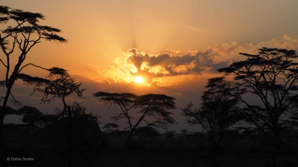 Sunset on safari