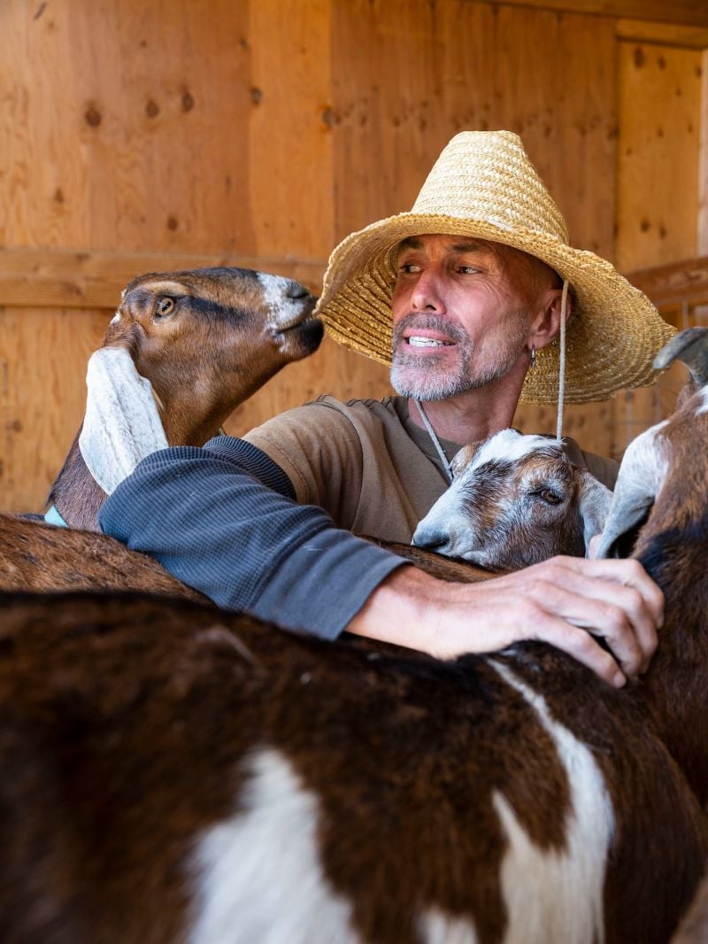 Lets Goat Hike, Palm Springs