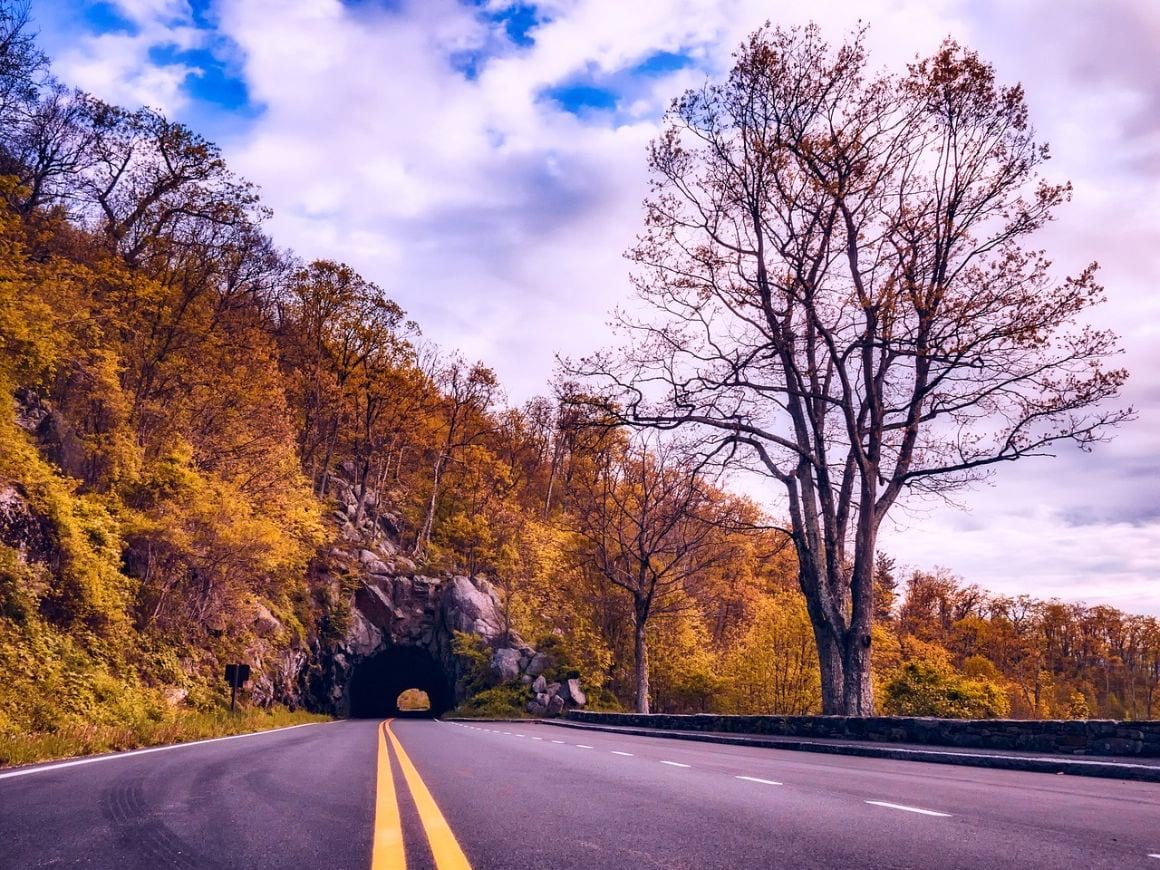 Shenandoah valley 