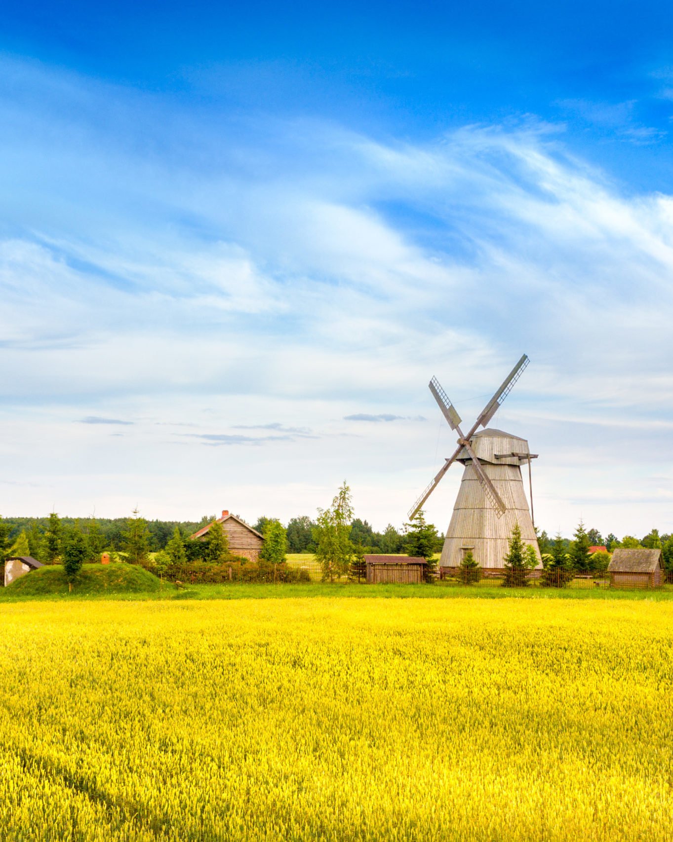 golden fields in belarus