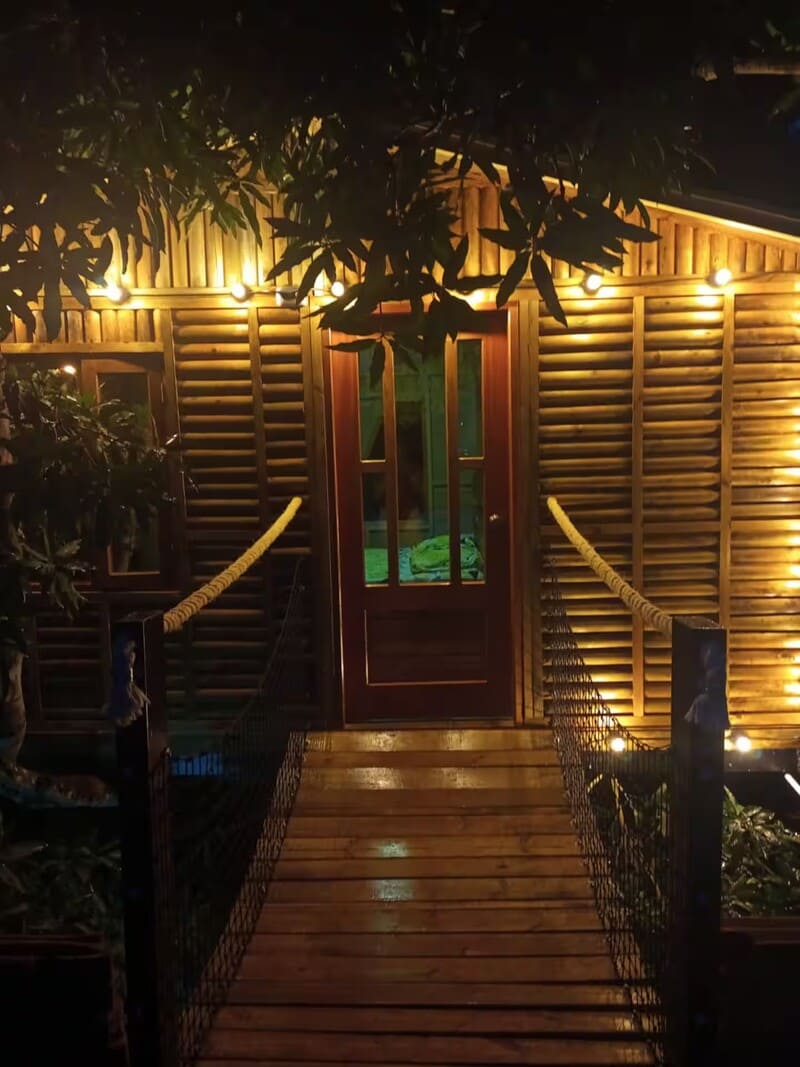 The tree house